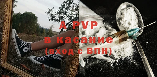 индика Балабаново